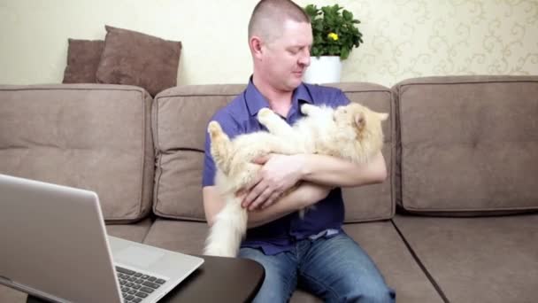 En man visar en stor vuxen katt på sin hemblogg — Stockvideo