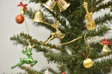 Evde Noel ağacı var.