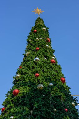 Noel ağacı mavi gökyüzü arkaplanı