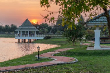 Parktaki patikada ağaçlar var.