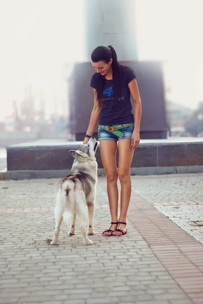 Ragazza con il cane per una passeggiata — Foto Stock