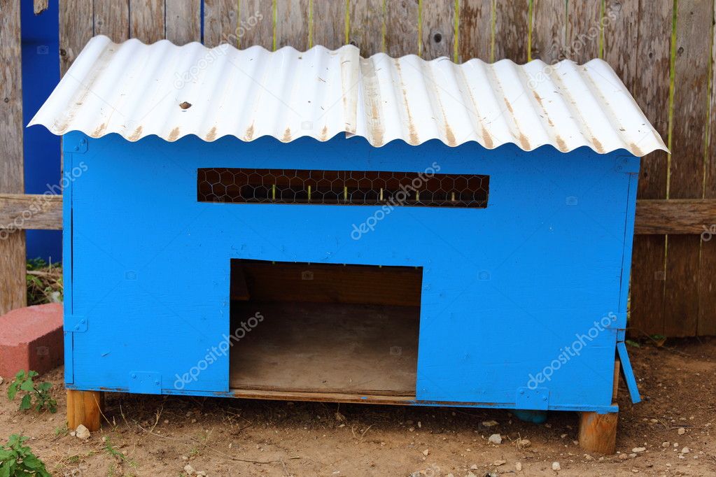 Chicken Coop