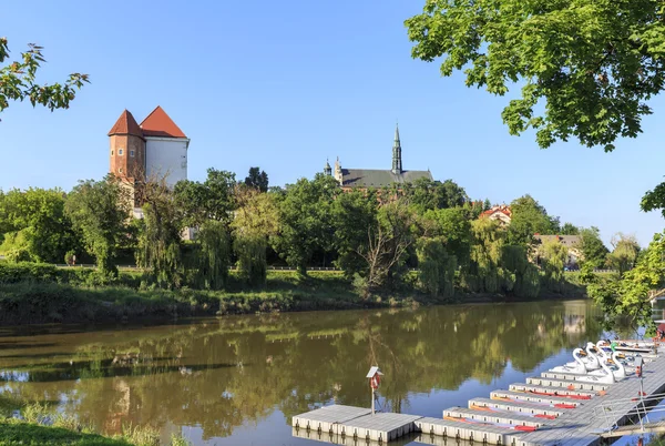 Sandomierz landschap met kasteel en de kathedraal, Polen — Stockfoto