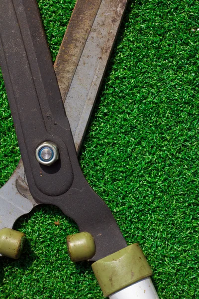 Scissors cut the grass — Stock Photo, Image