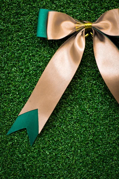 Red Bow on green grass — Stock Photo, Image