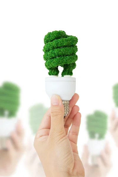 Luce ecologica — Foto Stock