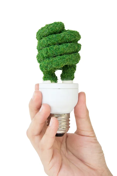 Eco light bulb — Stock Photo, Image