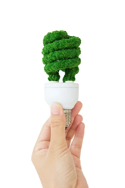 Eco light — Stock Photo, Image