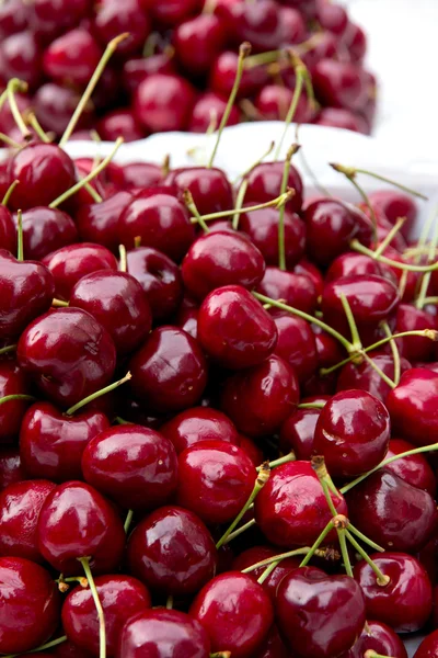 Cerises fraîches sur le marché alimentaire — Photo