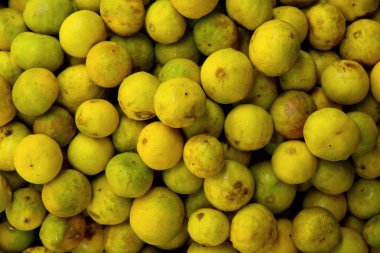 taze limon