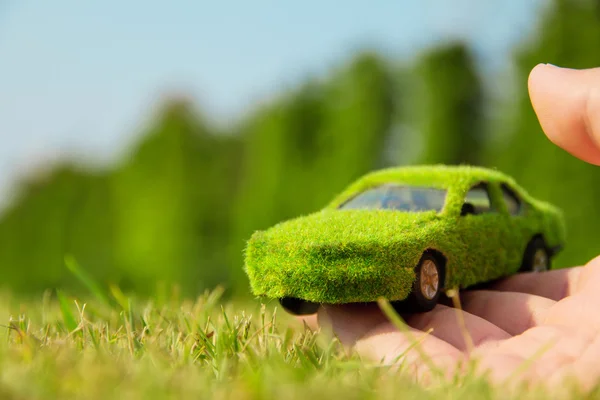 Strony gospodarstwa ekologiczne ikona samochodu — Zdjęcie stockowe