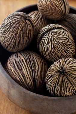 Kuru Hindistan cevizi yakın çekim