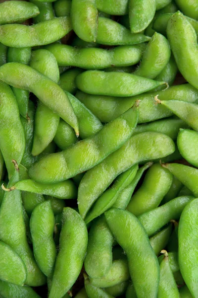 Edamame soy beans — Stock Photo, Image