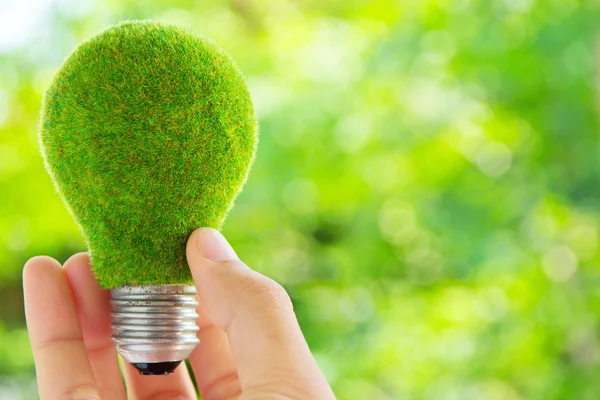 Hand holding eco light bulb energy concept — Stock Photo, Image