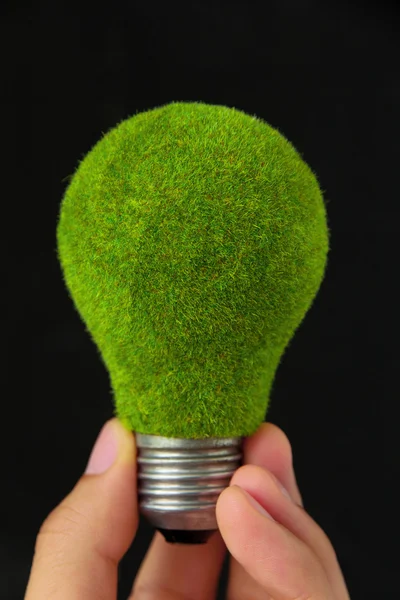 エコ電球のエネルギーの概念を持っている手 — ストック写真
