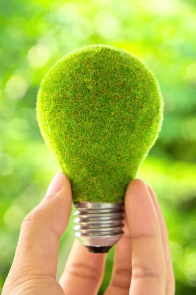 エコ電球のエネルギーの概念を持っている手 — ストック写真