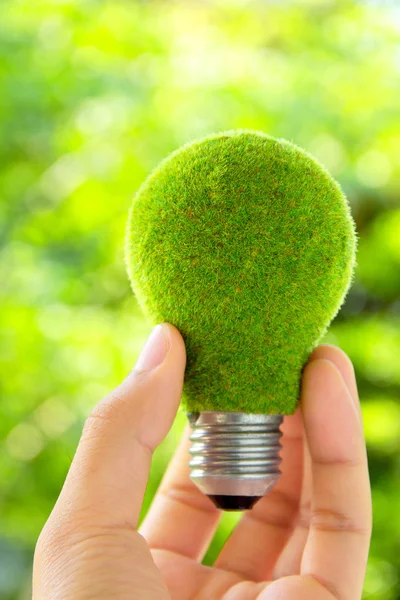 Hand holding eco light bulb energy concept — Stock Photo, Image