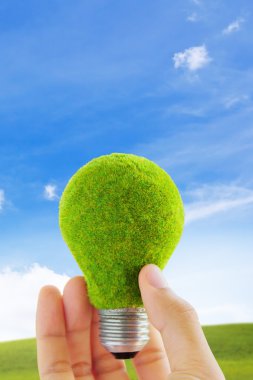 Eko ampul enerji kavramı