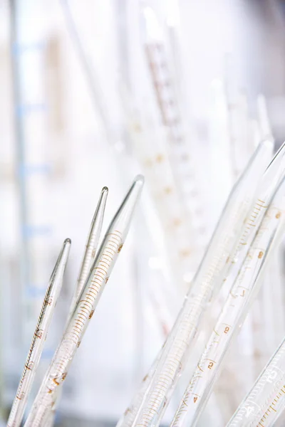 Test Tubes in laboratory — Stock Photo, Image