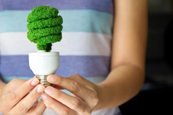 Hand holding eco light bulb — Stock Photo, Image