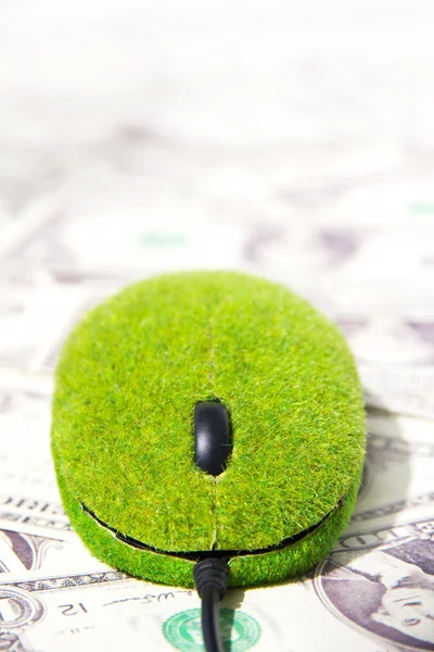 Eco computer mouse concept — Stock Photo, Image