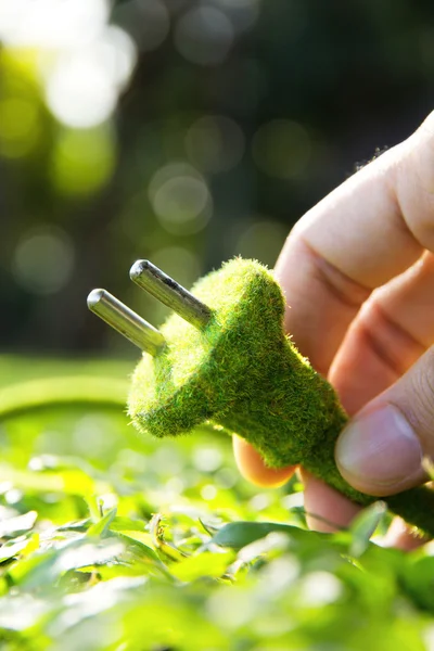 Concepto de enchufe eléctrico verde — Foto de Stock