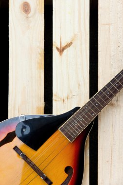 Mandolin arka plan kavramı