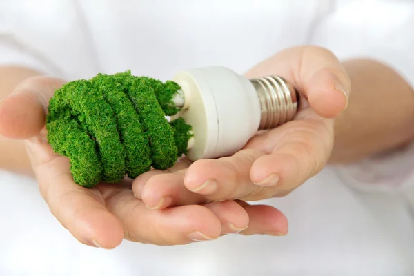 Eco light bulb concept — Stock Photo, Image