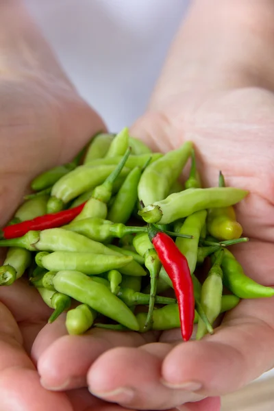 Chili pepper — Stock Photo, Image