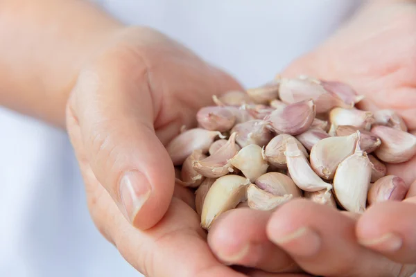 Hand holding garlic — Stock Photo, Image