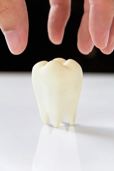 Diş kavramı — Stok fotoğraf