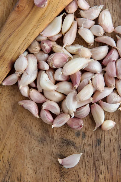 Garlic — Stock Photo, Image