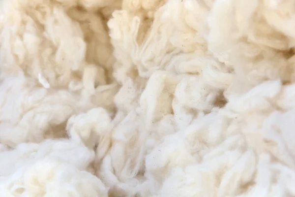 Cotton wool background — Stock Photo, Image