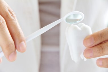 holding molar diş hekimi