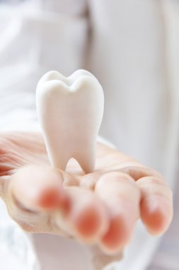 holding molar diş hekimi