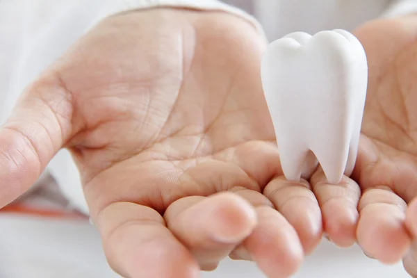 Dentist holding molar — Stock Photo, Image