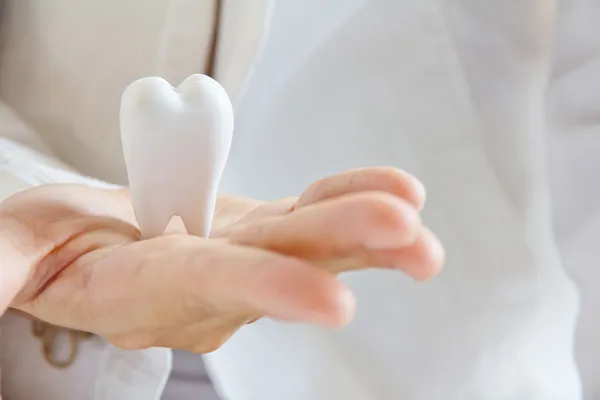 Dentista sosteniendo molar — Foto de Stock