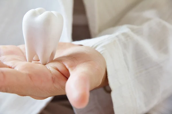 Dentist holding molar — Stock Photo, Image