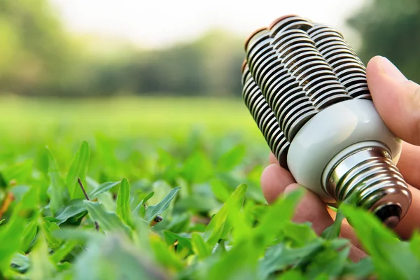 Eco concetto di lampadina — Foto Stock