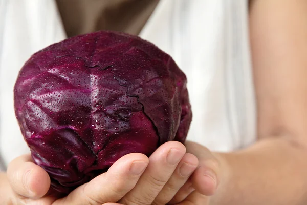 Hand holding red cabbage — Stock Photo, Image