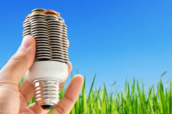 Eco light bulb concept — Stock Photo, Image