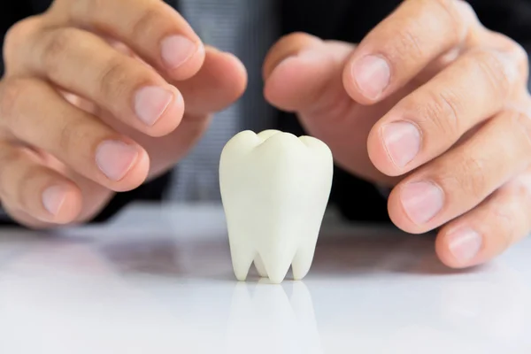 Dentiste tenant molaire — Photo