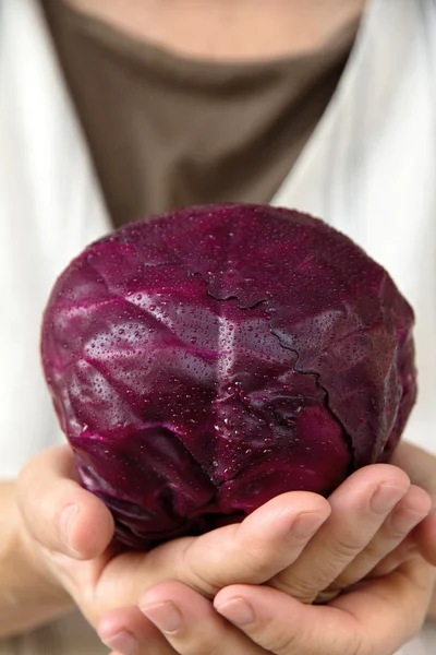 Hand holding red cabbage — Stock Photo, Image