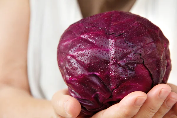 Hand holding red cabbage — Stock Photo, Image