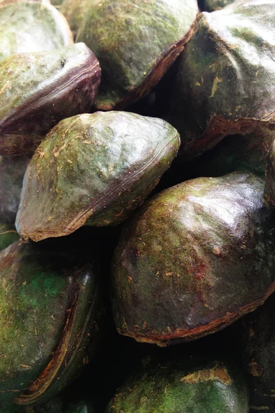 Djenkol bean fruit — Stock Photo, Image