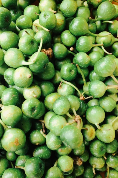 Green Turkey berry — Stock Photo, Image