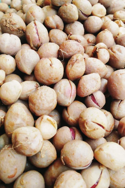 Noz de amendoim cozida Bambara — Fotografia de Stock