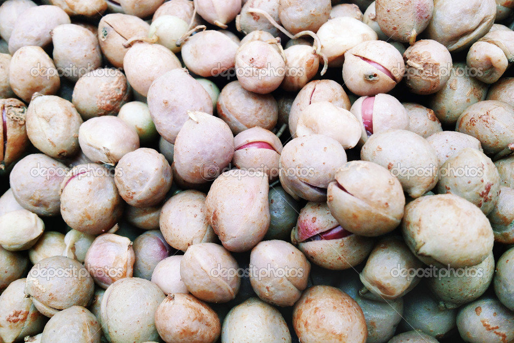 Boiled Bambara Groundnut — Stock Photo © ponsulak 36152381