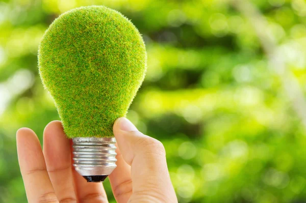 Energia della lampadina ecologica — Foto Stock