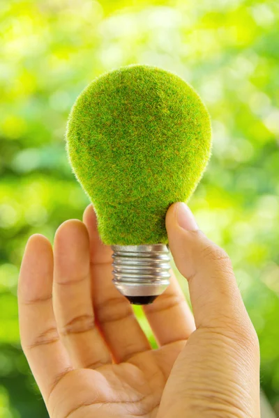 Energia della lampadina ecologica — Foto Stock